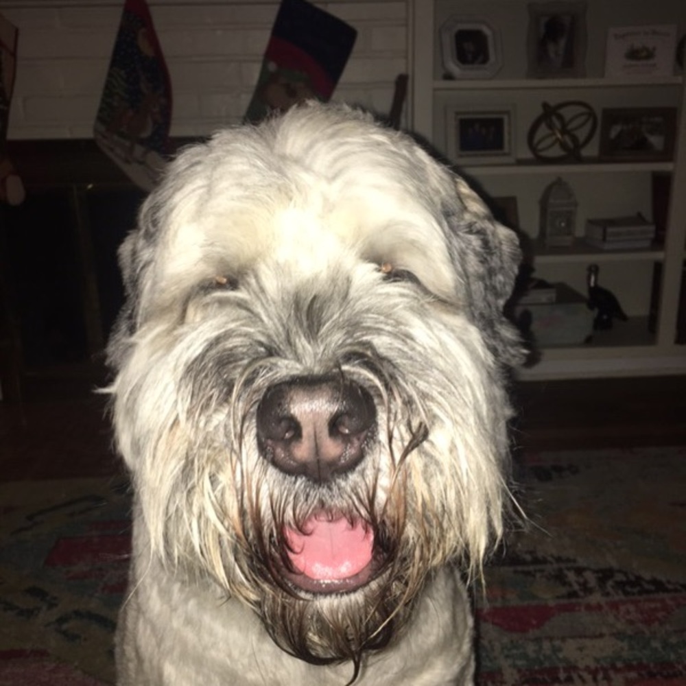 Meet your Posher, Taylor